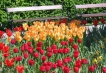    - PLD Travel