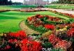    - PLD Travel