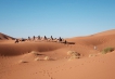      - PLD Travel
