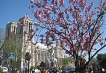    - PLD Travel