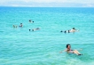      - PLD Travel
