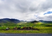    - PLD Travel