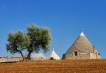  - PLD Travel