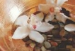   - PLD Travel