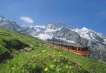     - PLD Travel