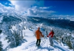  - PLD Travel