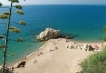     - PLD Travel