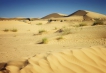      - PLD Travel