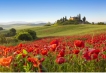  - PLD Travel