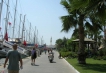    - PLD Travel