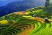    - PLD Travel