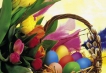     - PLD Travel