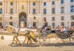    - PLD Travel